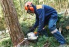 Port of Brisbanetree-cutting-services-21.jpg; ?>