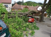 Kwikfynd Tree Cutting Services
portofbrisbane